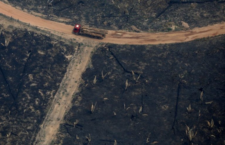 The official deforestation in Brazil in 2019 is misleading, according ...