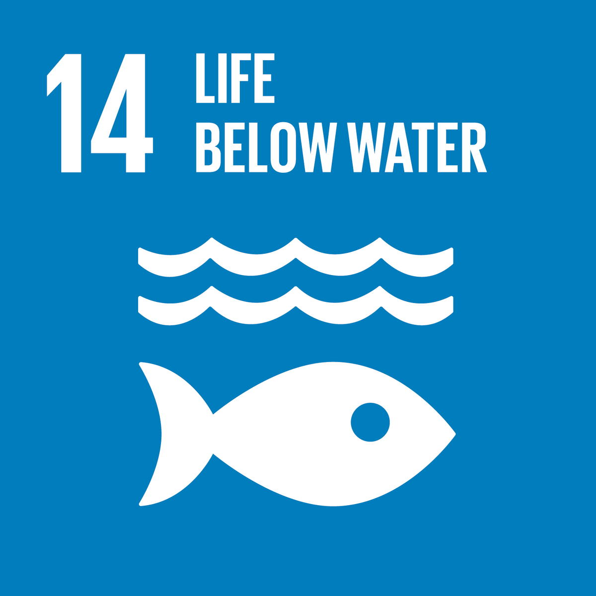 Content for day 14 - Sustainable development goal 14: Life below water