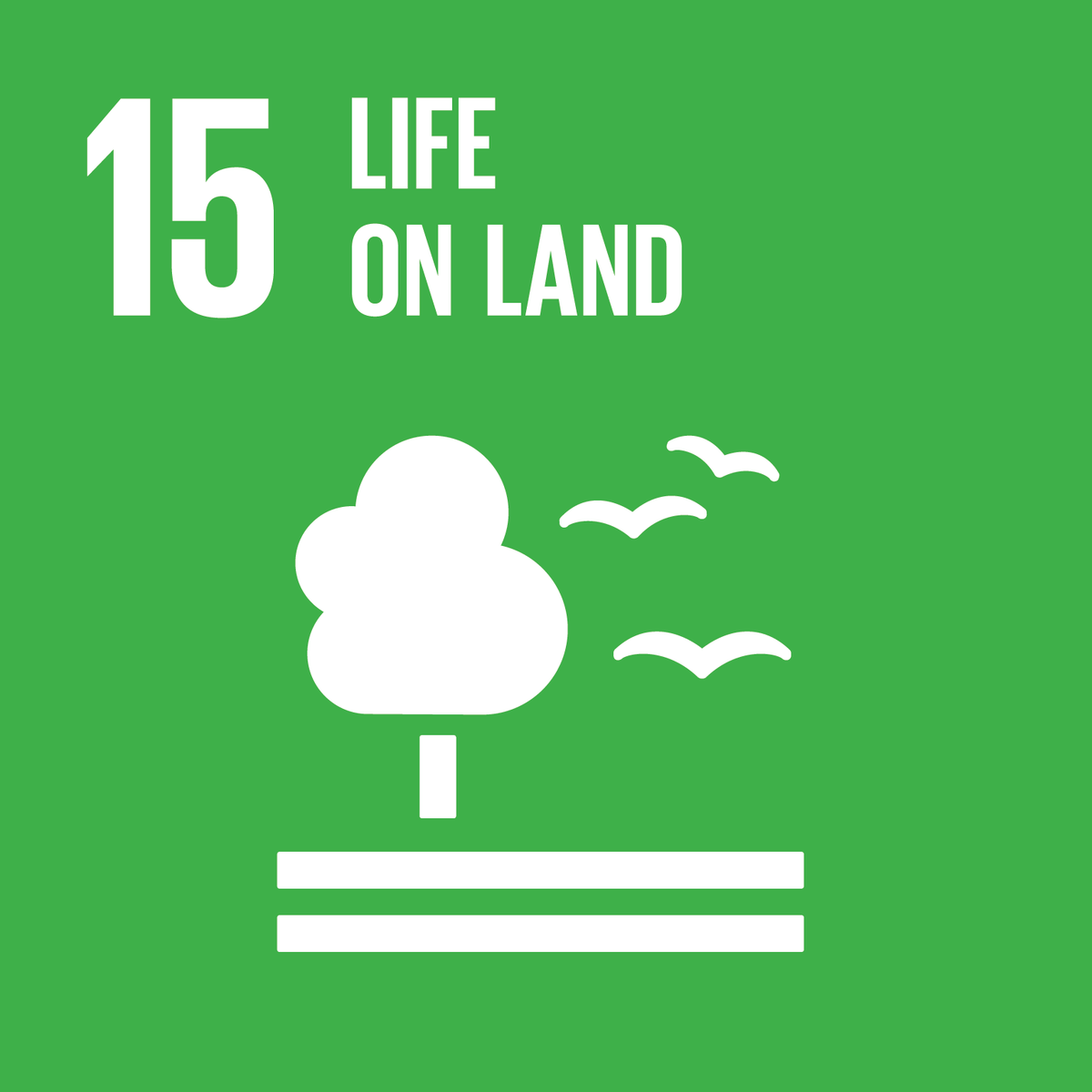 Content for day 15 - Sustainable development goal 15: Life on land