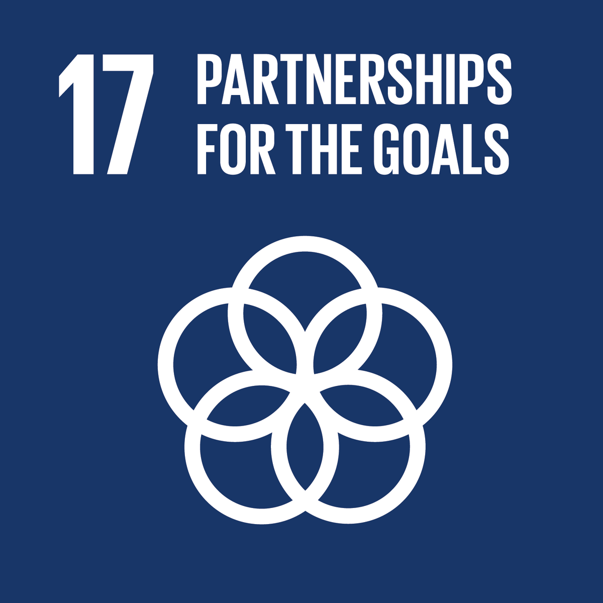 Content for day 17 - Sustainable development goal 17: Partnerships for the goals